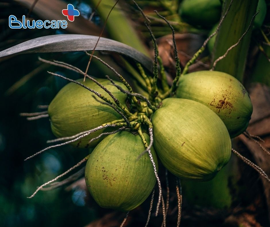Tắm cho trẻ sơ sinh bằng nước dừa