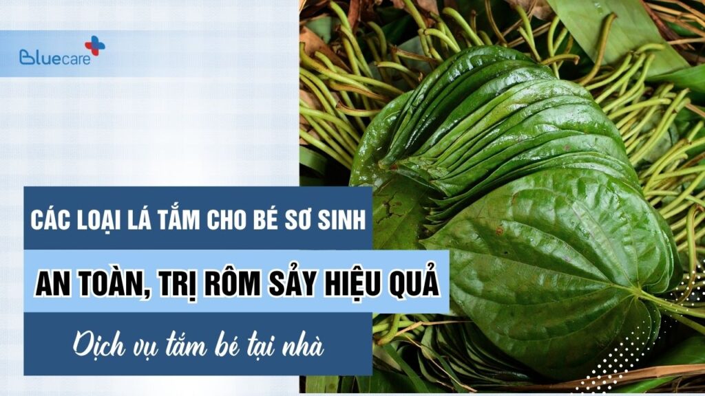 Lá tắm cho bé sơ sinh trị rôm sảy