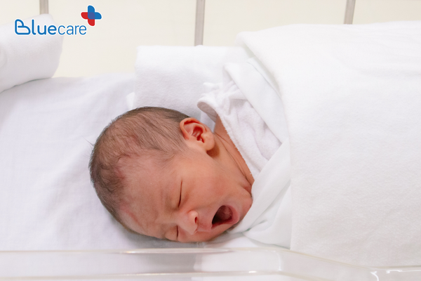 vỗ rung long đờm có hại không